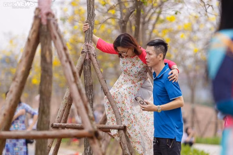 Tuy nhiên, vì hoa nở tít trên ngọn nên hội chị em không tiếc leo trèo chụp ảnh khiến nhiều người không khỏi “dở khóc dở cười”. Ảnh: VTC news