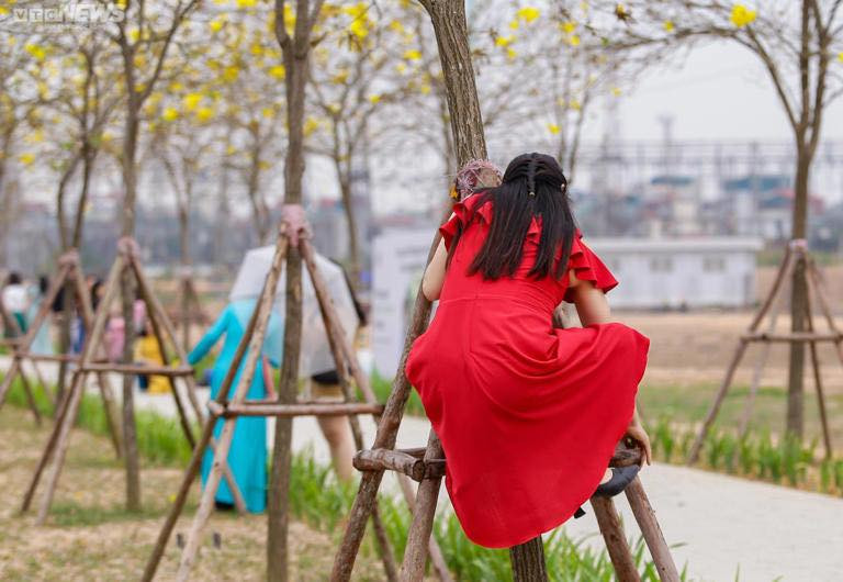 Nhiều chị em còn chơi lớn, mặc áo dài và trang điểm cầu kỳ, thuê hẳn thợ chụp ảnh riêng để check in bên các con đường hoa làm kỷ niệm. Ảnh: VTC news