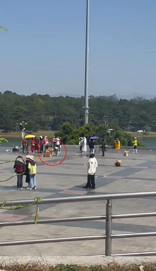 Cụ thể, chủ nhân của đoạn clip chia sẻ: "Alaska là giống chó vùng băng tuyết, các bé khó lòng chịu được cái nóng ở Việt Nam. Nghe nói việc này diễn ra khá thường xuyên. Bạn nào từng chứng kiến sự việc tương tự trên Đà Lạt thì vô xác nhận giúp tôi có phải không nhé?"