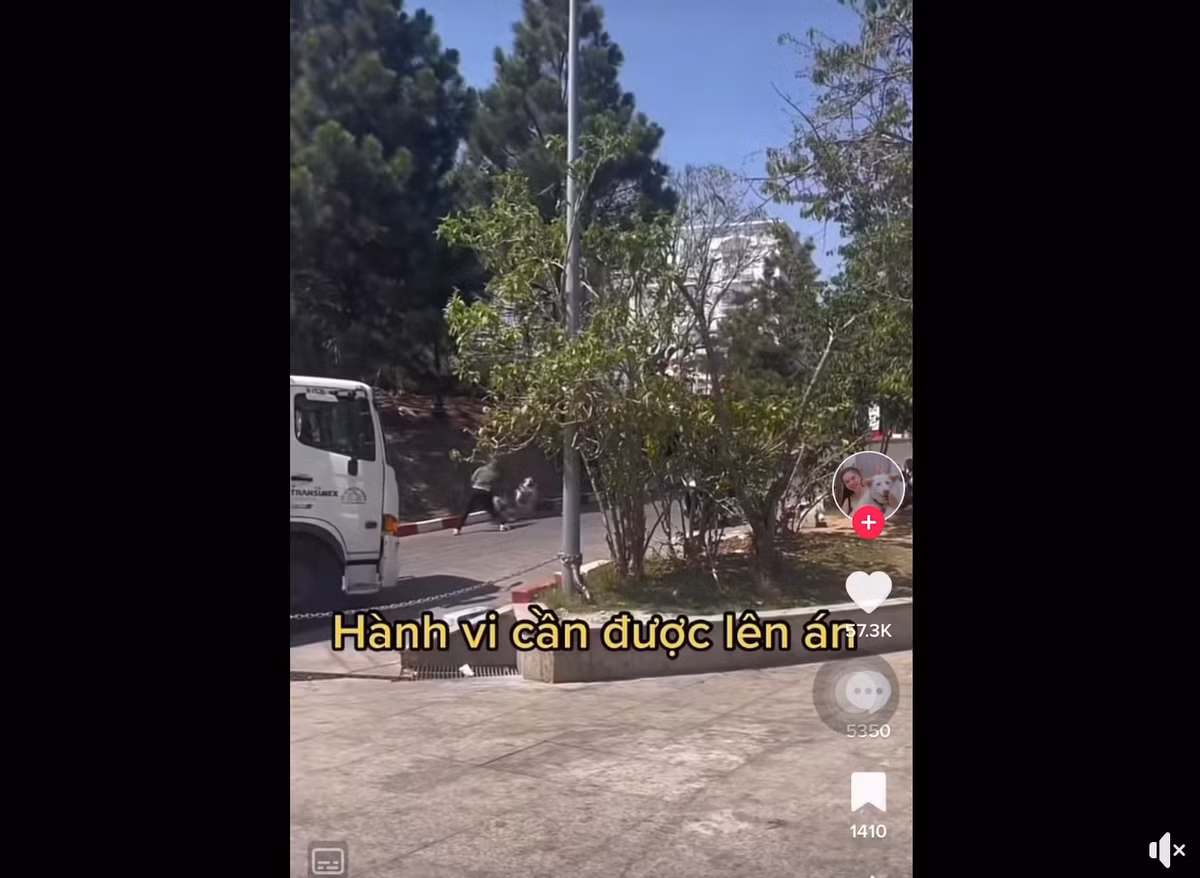 Sau khi đoạn clip được chia sẻ lên MXH netizen để lại bình luận phẫn nộ và lên án hành động đánh đập thú cưng của nam thanh niên này.