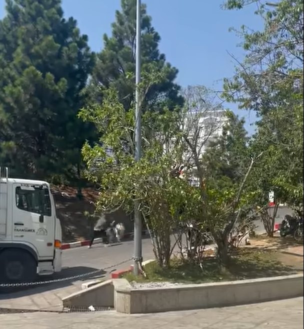 Từ trước cộng đồng mạng cũng phẫn nộ trước hành vi lấy thú cưng để trở thành công cụ kiếm thêm thu nhập cho chủ nhân của nó.