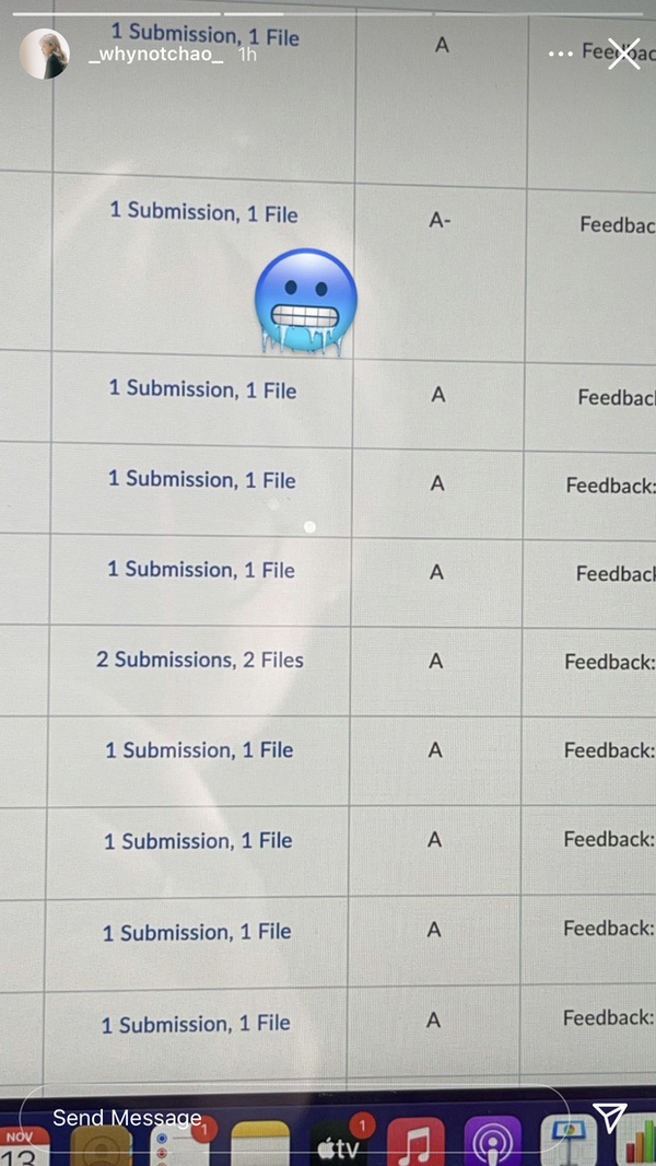 Xinh đẹp, có tài năng kinh doanh, Chao còn gây ấn tượng với thành tích học tập đáng nể. Cuối năm 2020, Chao hãnh diện thông báo nhận được học bổng từ Đại học New York - một trong những ngôi trường danh giá bậc nhất nước Mỹ. Ngoài ra cô từng khoe bảng điểm toàn A, chứng minh lực học siêu đỉnh của mình.