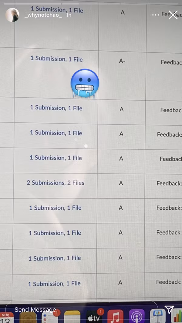 Xinh đẹp, có tài năng kinh doanh, Chao còn gây ấn tượng với thành tích học tập đáng nể. Cuối năm 2020, Chao hãnh diện thông báo nhận được học bổng từ Đại học New York - một trong những ngôi trường danh giá bậc nhất nước Mỹ. Ngoài ra cô từng khoe bảng điểm toàn A, chứng minh lực học siêu đỉnh của mình.