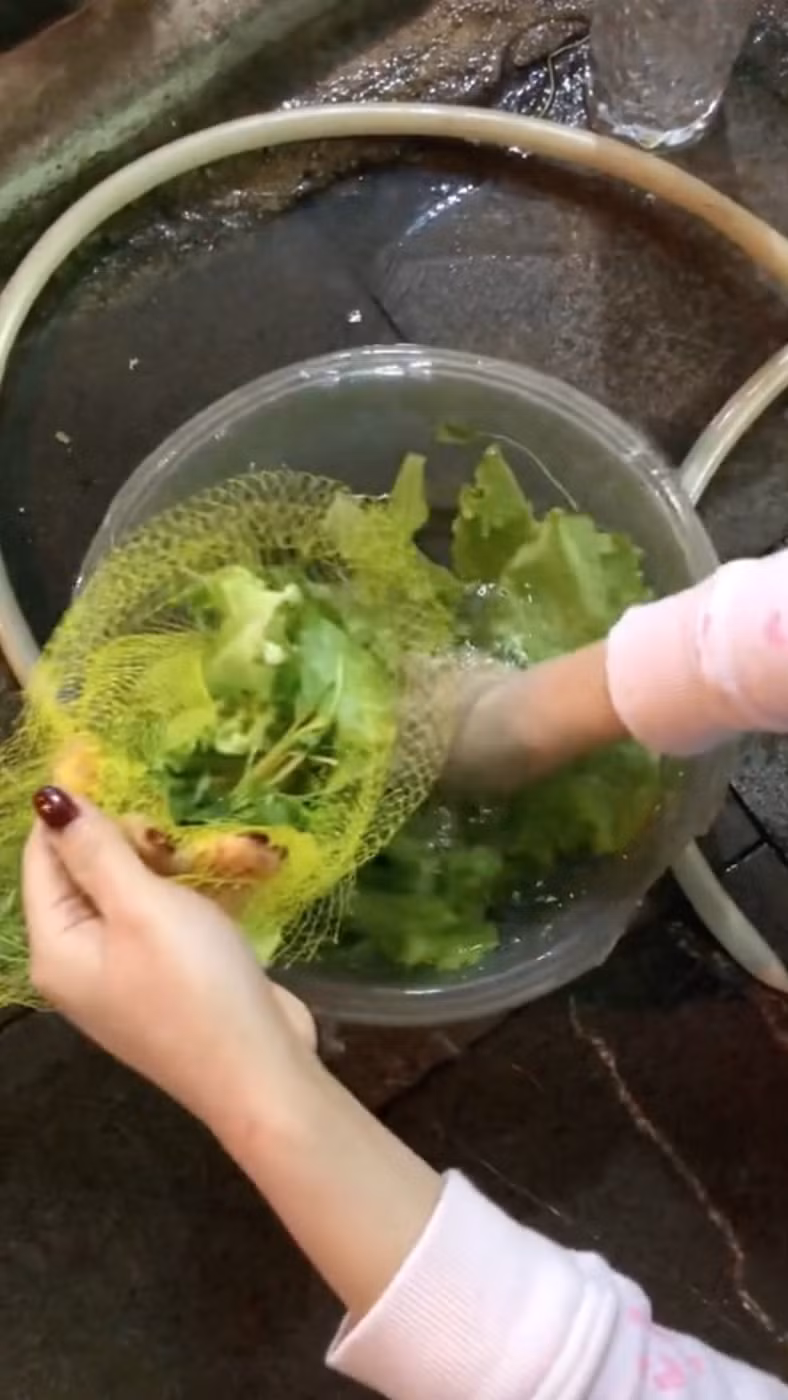 Theo đó, cô gái chia sẻ bí kíp này hướng dẫn mọi người sử dụng một chiếc túi lưới sạch (loại thường dùng để đựng rau, củ, quả) để cho rau sống vào.
