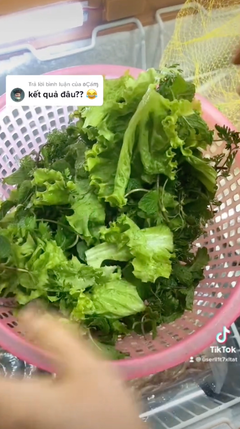 Kết quả của việc dùng túi lưới vẩy rau là rau sạch nước và không hề rơi rớt ra ngoài tí nào.