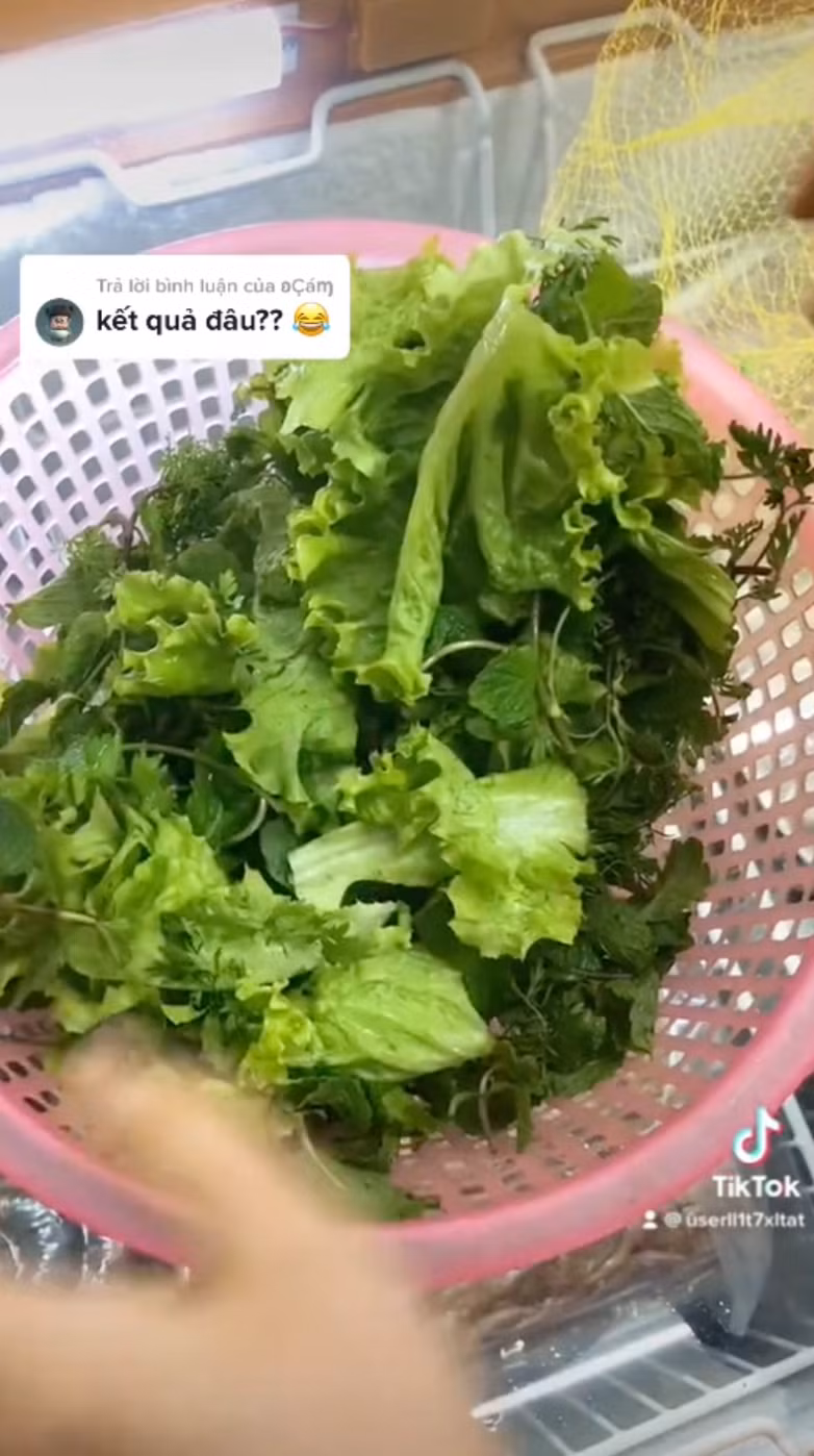 Kết quả của việc dùng túi lưới vẩy rau là rau sạch nước và không hề rơi rớt ra ngoài tí nào.