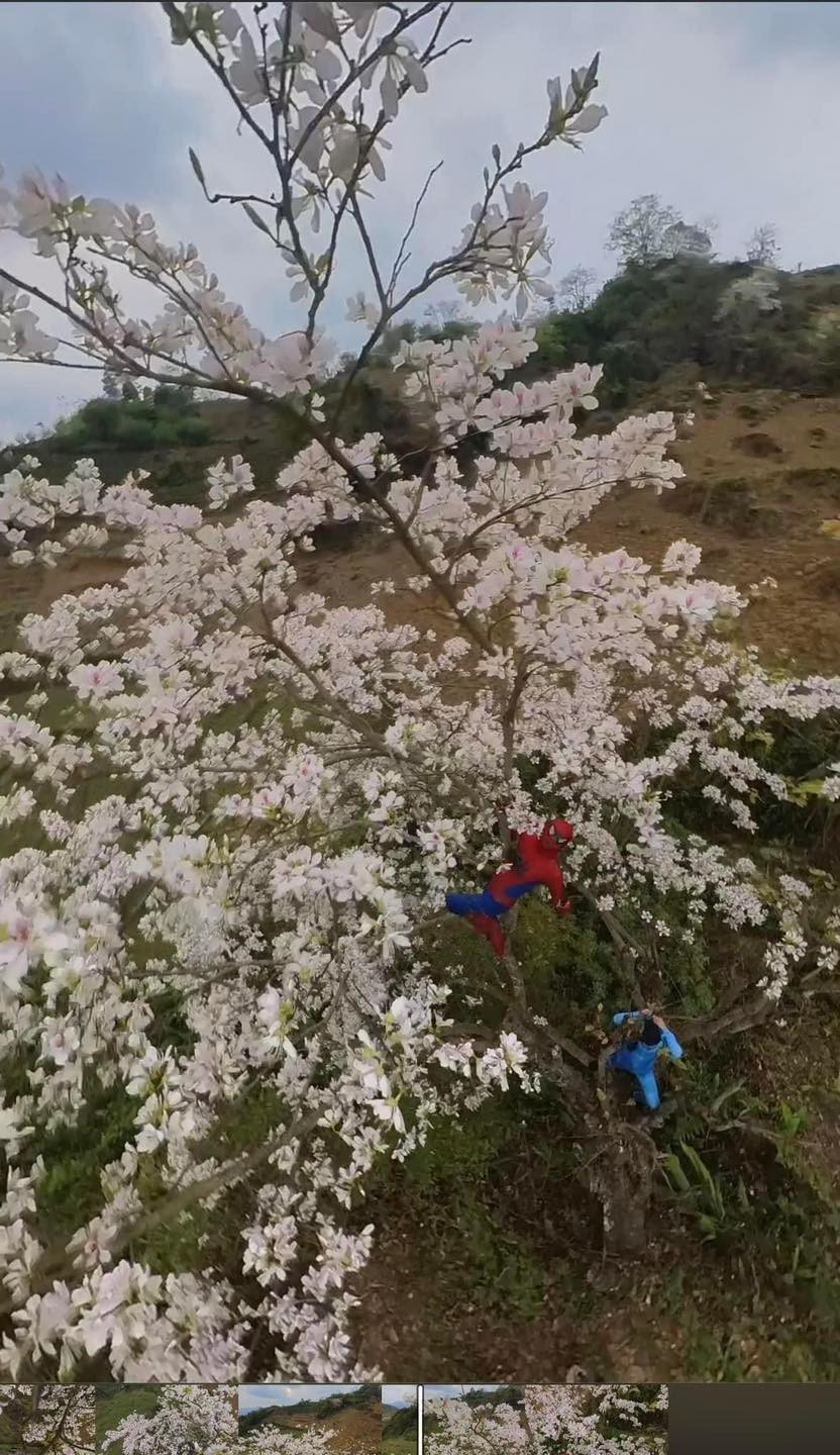 Ngay sau ki loạt ảnh xuất hiện trên mạng xã hội lập tức nhận được nhiều sự quan tâm của cộng đồng mạng. Ảnh: Nguyen Huy Hoang