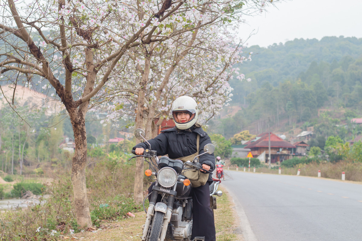 Sắc trắng xem lẫn sắc hồng của hoa ban tràn ngập khắp nơi, tạo nên một không gian vô cùng lãng mạn. Ảnh: Yến Lee