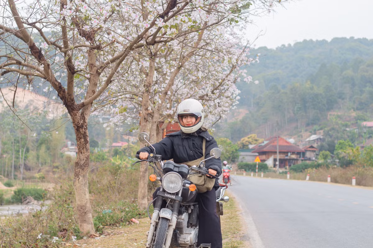 Sắc trắng xem lẫn sắc hồng của hoa ban tràn ngập khắp nơi, tạo nên một không gian vô cùng lãng mạn. Ảnh: Yến Lee