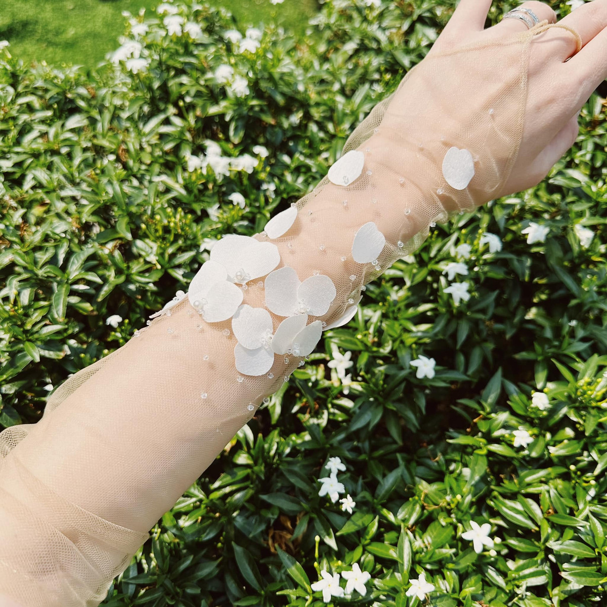 Trước hôn lễ cựu hot girl đăng tải hình ảnh váy cưới và trang sức, cô tiết lộ hai chiếc váy cưới đẹp xuất sắc với cùng một tông màu trắng nhưng khác chất liệu. Được biết, đây là hai bộ váy cưới mà cô diện để thực hiện bộ ảnh xinh đẹp và ngọt ngào cùng thiếu gia Phillip Nguyễn.