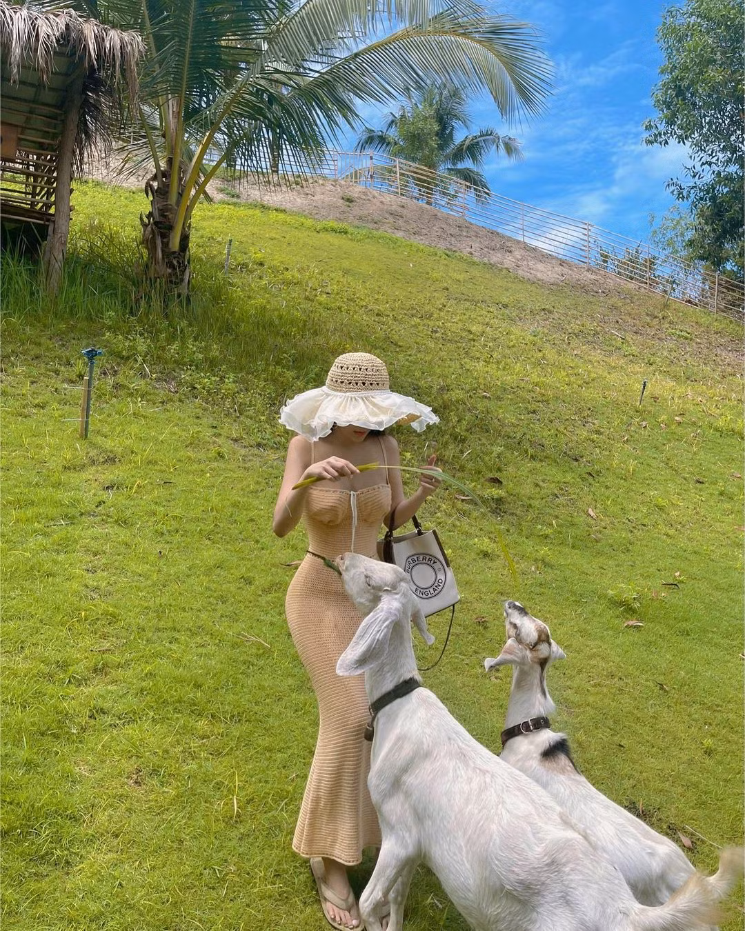 Vốn sở hữu body quyến rũ lại theo đuổi style gợi cảm nên thời gian qua, người xem liên tục bỏng mắt với những shoot hình khoe 3 vòng đâu ra đấy của cô.