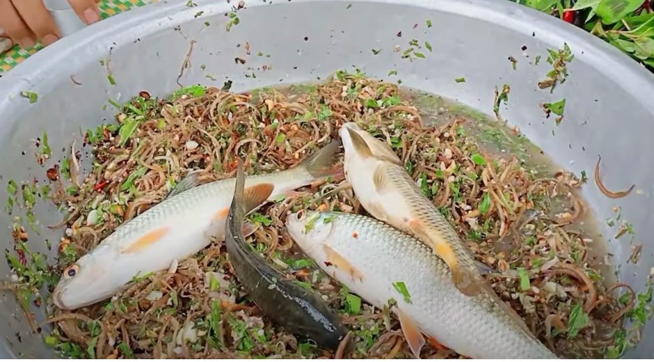 Ngoài ra, các video mổ tiết cá không được gán nhãn giới hạn độ tuổi người xem cũng xuất hiện không ít.