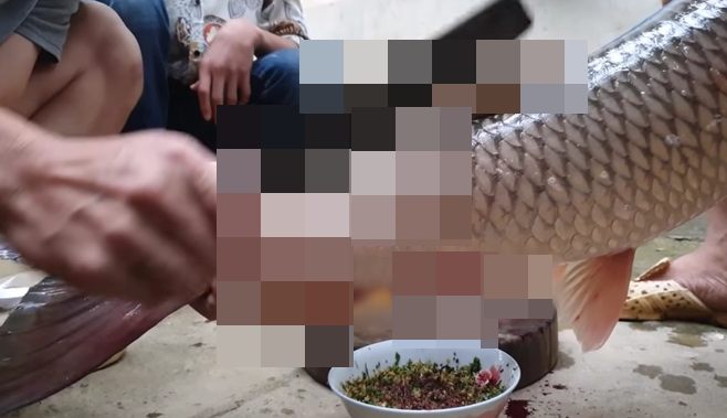 Màn ăn uống phản cảm của các Youtuber Việt được đăng tải đa phần với những tiêu đề cực đoan và có phần hình ảnh khá kinh dị.