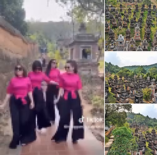 Facebook này chia sẻ: “Đây là nơi yên nghỉ của hơn 1.000 vị cao tăng đã từng tu tại chùa Bổ Đà. Là một trong những nơi cổ kính, linh thiêng nhất của miền Kinh Bắc. Vậy mà lại bị xâm phạm bởi 4 nữ nhân áo hồng nhảy nhót, uốn éo trên nền nhạc remix, trông thật phản cảm”.