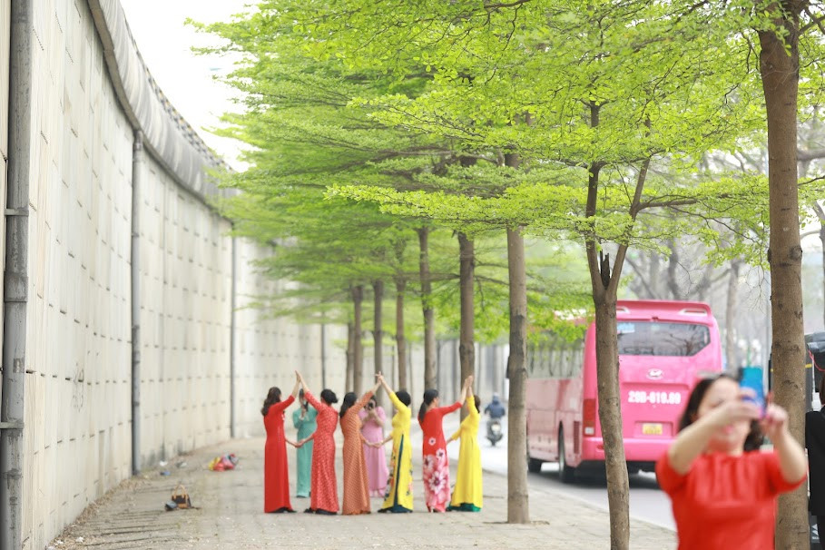 Mặc dù năm nay người Hà Nội không được chiêm ngưỡng mùa lá vàng nhưng màu xanh lá mới cũng đủ để tạo nên một khung cảnh đẹp giữa lòng Thủ đô.