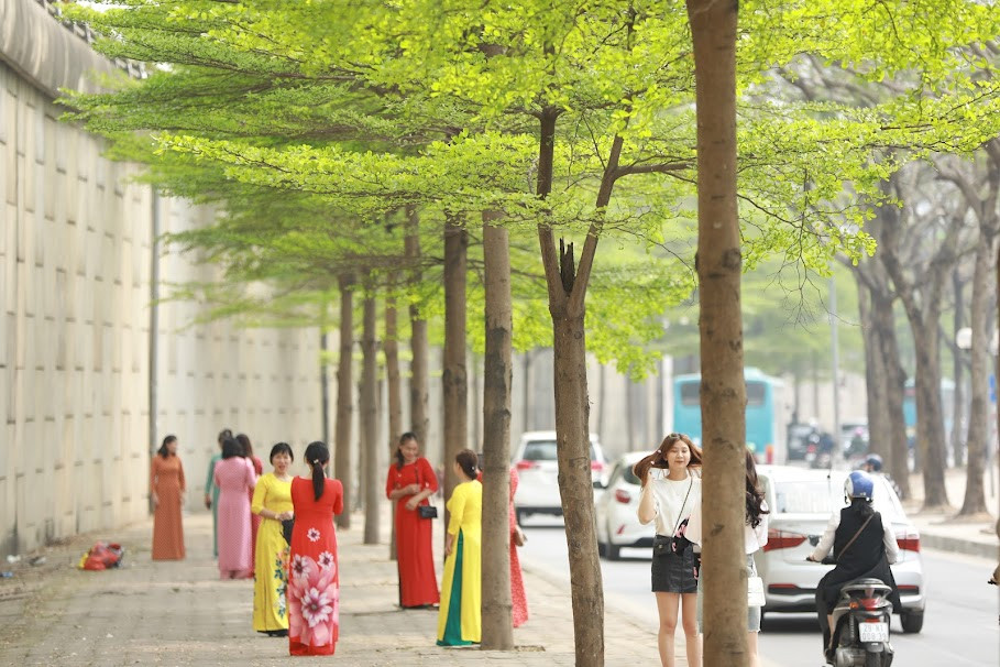 Hàng ngày, hàng cây bàng lá nhỏ này vẫn thu hút hàng chục người tới ngắm và chụp ảnh.