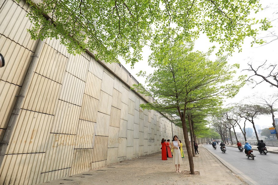 Các bạn trẻ đi ngang qua cũng thích thú tranh thủ chụp vài kiểu ảnh với con đường xanh mát mắt.