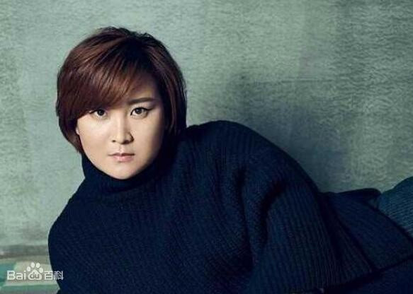 Giả Linh được công chúng biết đến kể từ Gala Lễ hội mùa xuân năm 2010, và đã bốn lần xuất hiện trên sân khấu Gala Lễ hội mùa xuân của CCTV.