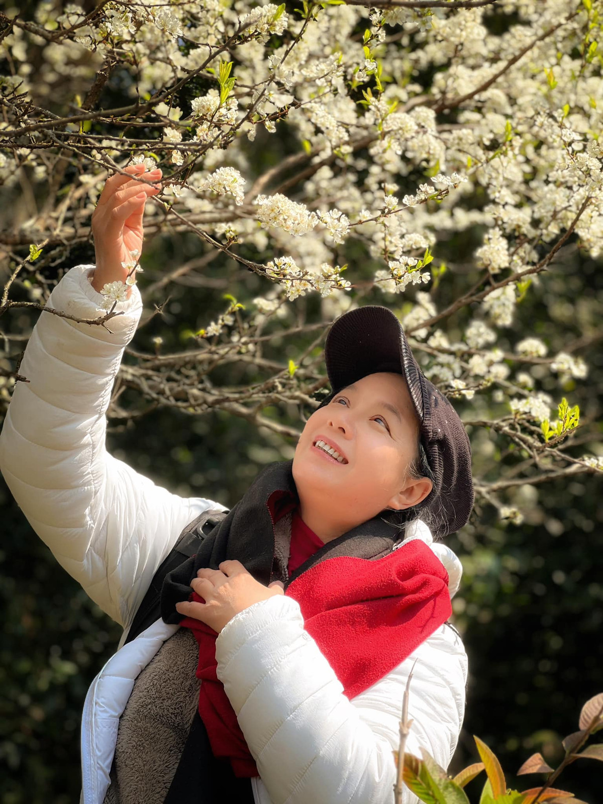 Vườn hoa mận nở trắng khiến nhiếp ảnh gia Chiều Xuân phải si mê.