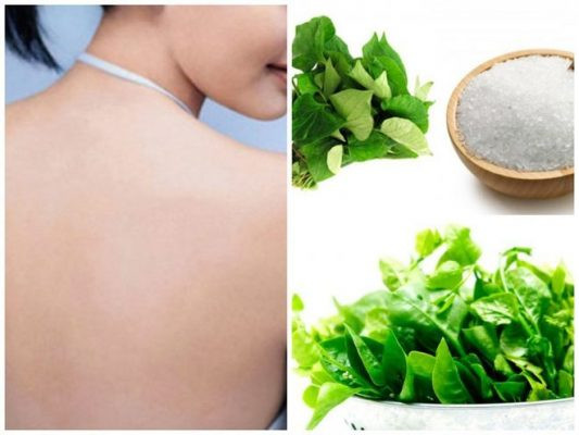 Đặc biệt, không chỉ là món ăn, rau mồng tơi còn được dùng làm mặt nạ để dưỡng da. Bôi hỗn hợp rau mồng tơi, mật ong và chanh lên mặt, giữ khoảng 10-15 phút trước khi rửa sạch sẽ giúp có một làn da trắng sáng. Đắp mặt nạ bằng hỗn hợp rau mùng tơi và muối biển cũng làm trắng da hiệu quả. Ảnh: Labety.