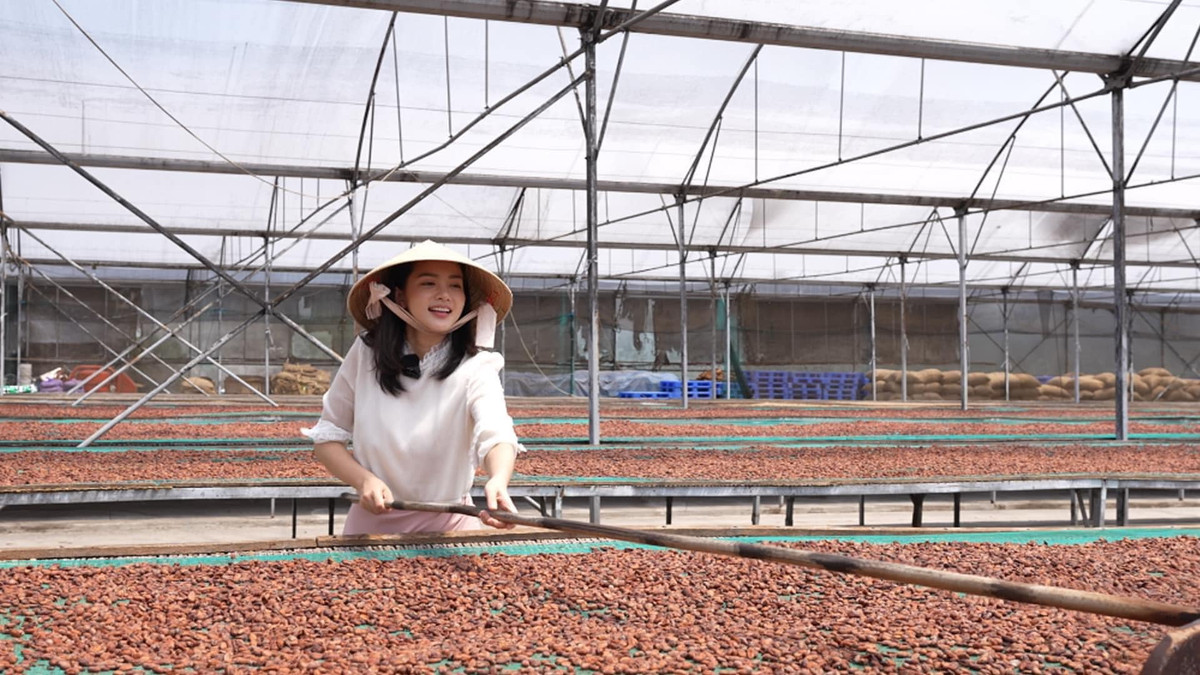 Không chỉ ngày càng thăng hạng nhan sắc, Phan Như Thảo còn chứng minh mình là người phụ nữ độc lập, không dựa dẫm vào chồng đại gia trăm tỷ. Cô trở lại showbiz và duy trì công việc kinh doanh. Mới đây, người đẹp còn nghiên cứu, sản xuất sô-cô-la tại villa ở Đà Lạt.