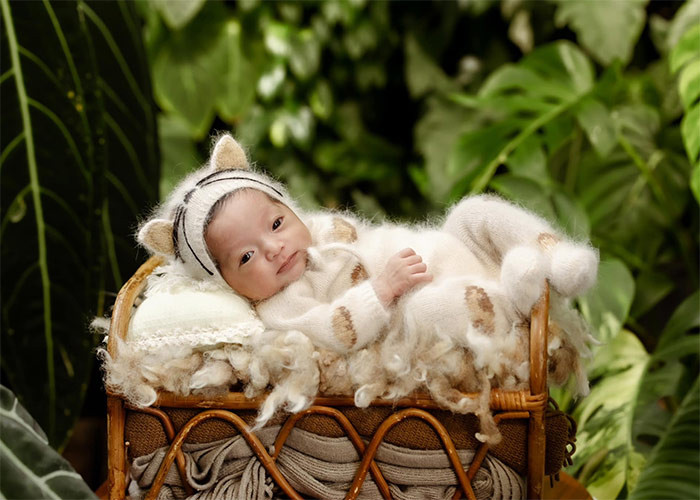 Bé Lisa chào đời trong niềm hân hoan của gia đình bởi Phan Hiển rất thích đông con.