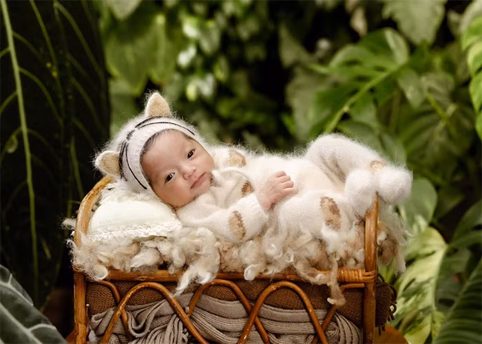 Bé Lisa chào đời trong niềm hân hoan của gia đình bởi Phan Hiển rất thích đông con.