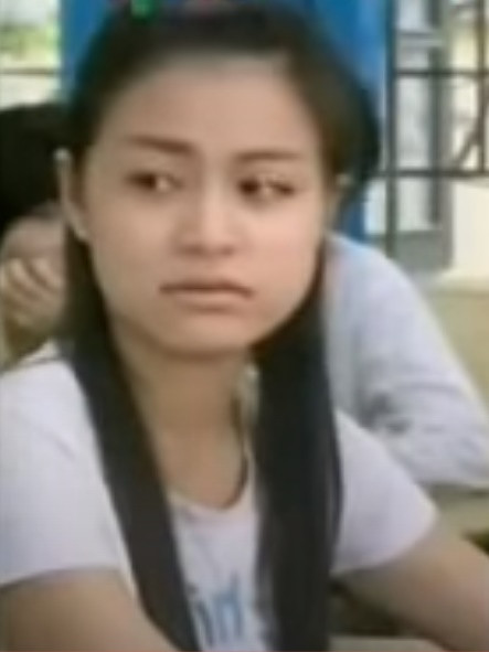 Từng có kinh nghiệm đóng phim trước đó, nhưng chỉ tới khi vào vai nữ chính trong phim "Nhật ký Vàng Anh" phần 2 (năm 2006), tên tuổi của Hoàng Thùy Linh trong vai trò diễn viên mới được nhiều khán giả biết tới.