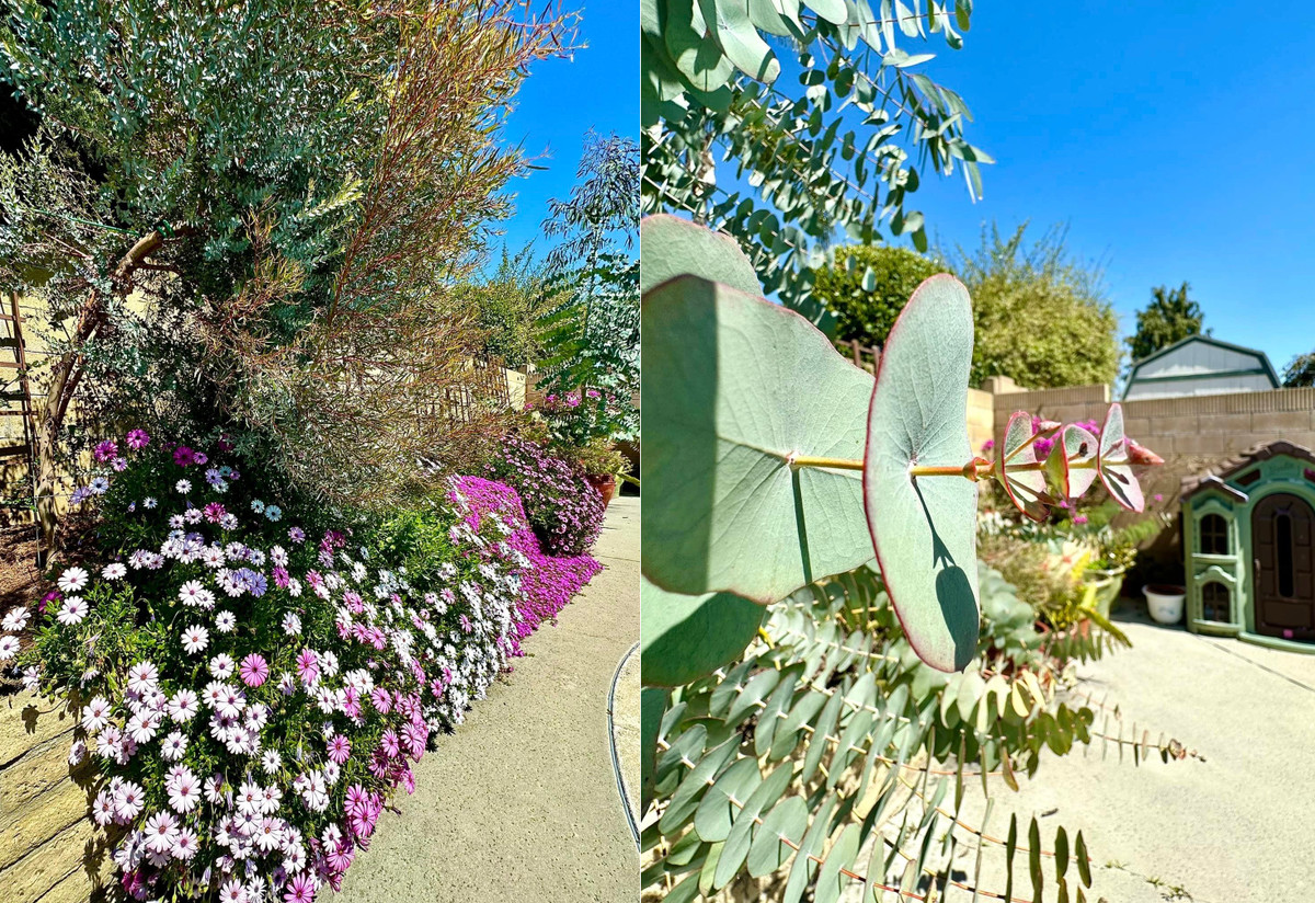 "Nắng lên hương thơm lan tỏa, uống trà, làm thơ", vợ cũ Quang Minh bày tỏ.