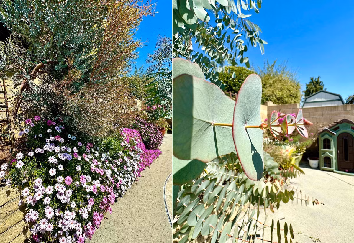 "Nắng lên hương thơm lan tỏa, uống trà, làm thơ", vợ cũ Quang Minh bày tỏ.