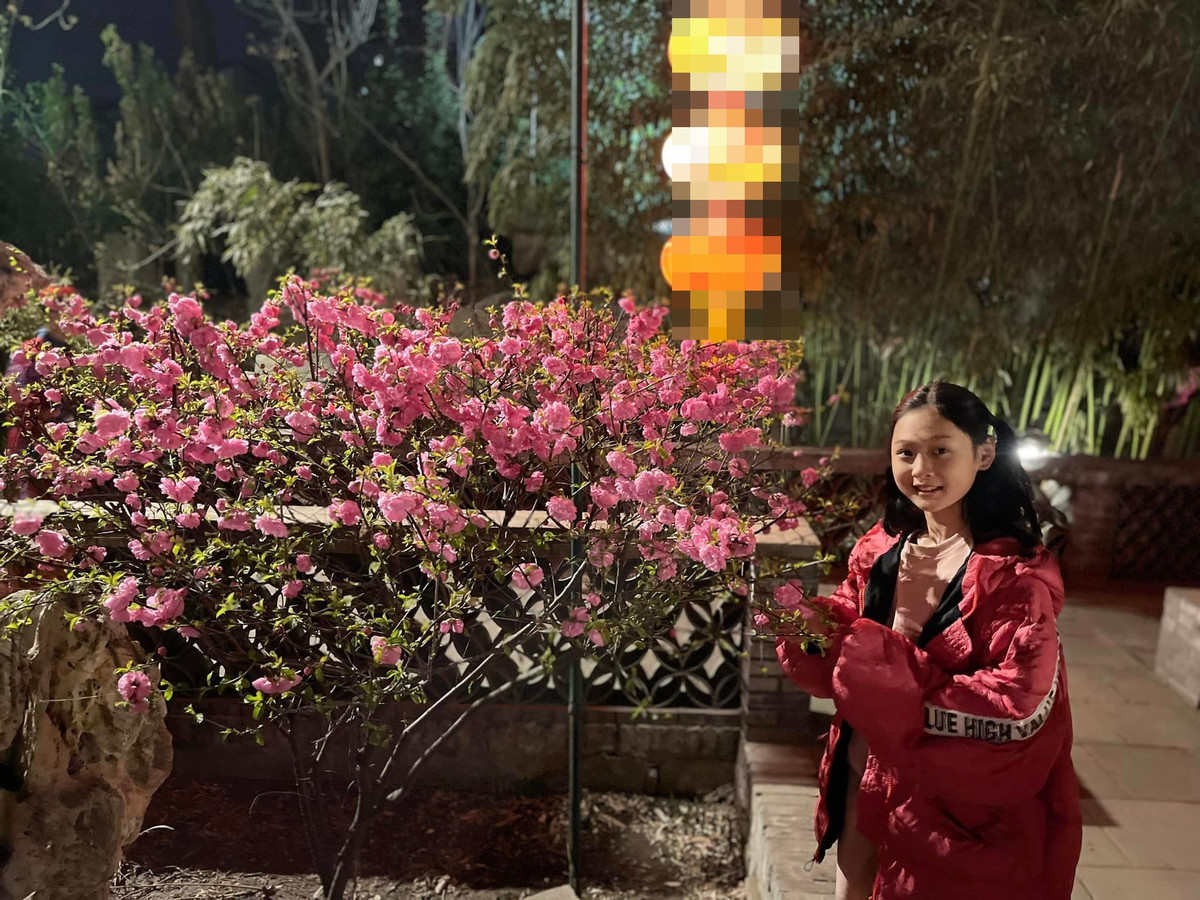 Bà mẹ hai con chia sẻ hình ảnh con gái Tiểu Panda mê mệt ngắm hoa đào.