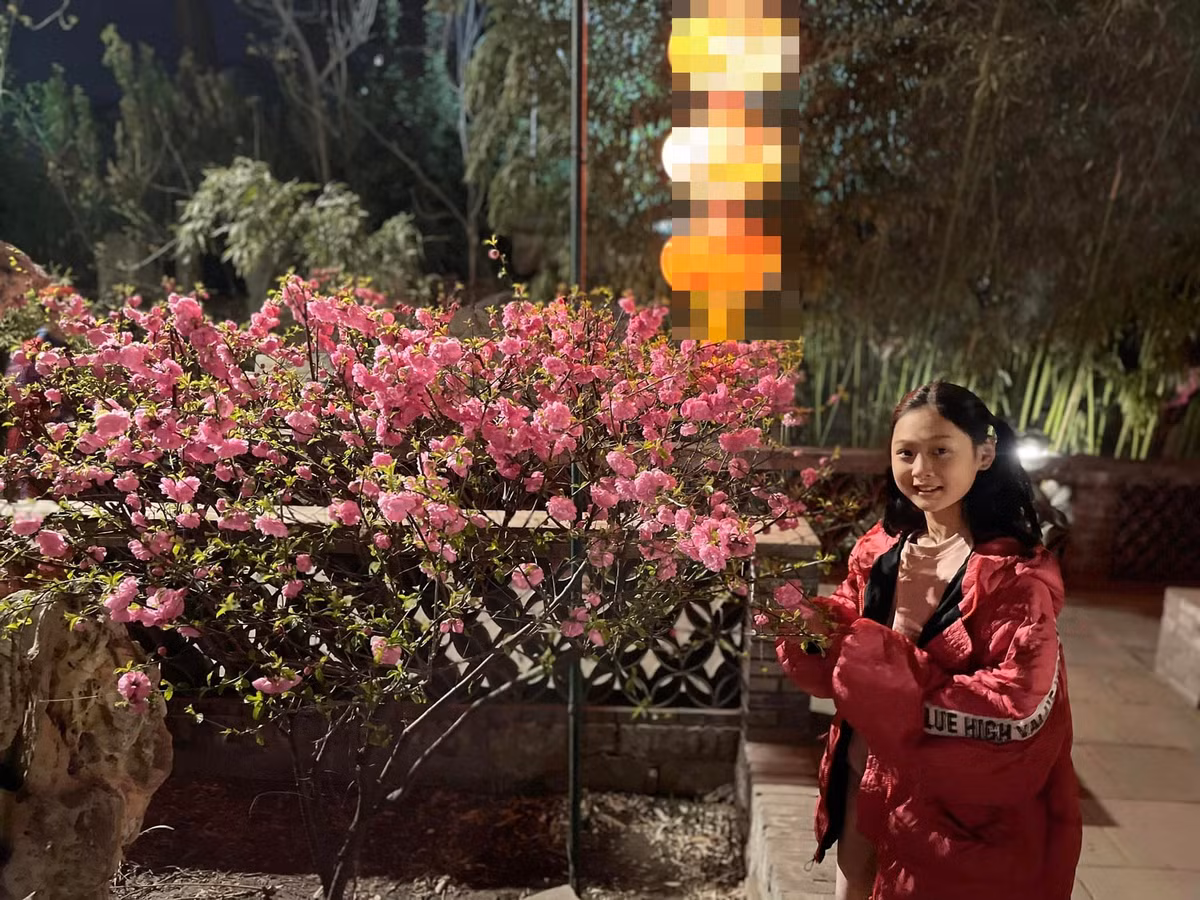 Bà mẹ hai con chia sẻ hình ảnh con gái Tiểu Panda mê mệt ngắm hoa đào.