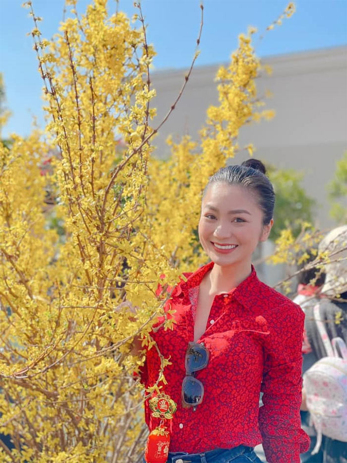 Sau vai San trong "Hoa hồng trên ngực trái", Diệu Hương tạm ngừng diễn xuất và sang Mỹ định cư với gia đình.