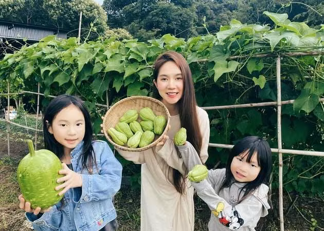 Các bé được khuyến khích đi nhiều, trải nghiệm nhiều bên ngoài, tránh xa các thiết bị công nghệ. Các con của Lý Hải - Minh Hà thường xuyên được bố mẹ cho về nông trại của gia đình ở Đà Lạt để dạy các bé nuôi gà, chăm vườn, thu hoạch nông sản... trải nghiệm cuộc sống thôn quê.