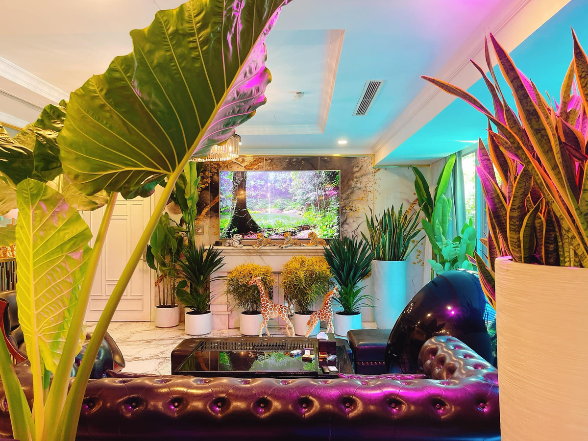 Phòng khách bài trí nhiều cây xanh, tạo cảm giác gần gũi với thiên nhiên.