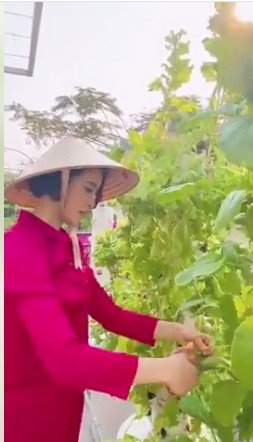 Mỹ nhân Sài thành trồng một vườn rau trên sân thượng của biệt thự. Cô tự làm các loại sinh tố, nước ép rau củ hái từ vườn.