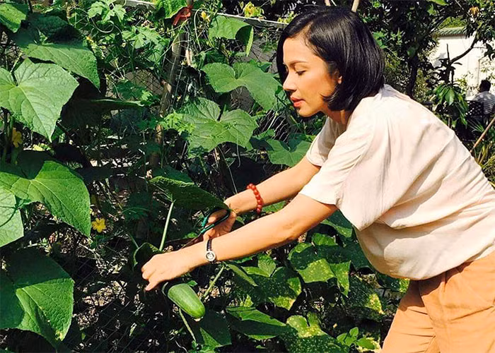 Cô cũng có nhiều thời gian hơn dành cho bản thân và những thú vui rất đơn giản như trồng cây, chăm hoa...