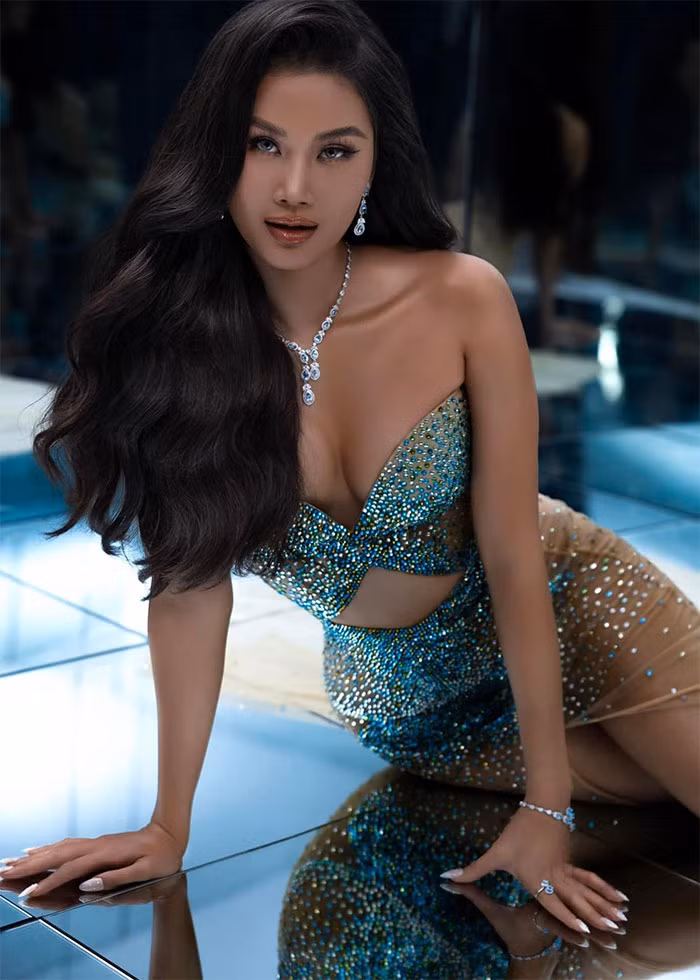 Hương Ly là quán quân Người mẫu Việt Nam: Vietnam's Next Top Model 2015 và đạt thành tích Top 5 Hoa hậu Hoàn vũ Việt Nam 2019.