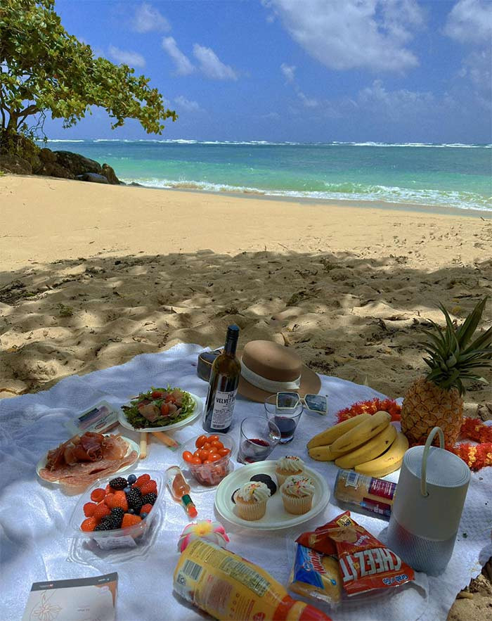 Hai vợ chồng Phương Oanh bày biện thức ăn đồ uống bên bãi biển, vừa tắm biển vừa thưởng thức.