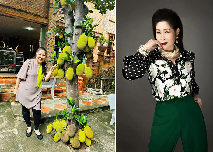 Cách đây khoảng một năm, trang phục quen thuộc của Hồng Vân thường là những chiếc áo rộng thùng thình nhằm che đi vòng hai quá khổ thì nay cô đã tự tin mặc áo sơ mi kết hợp quần âu.