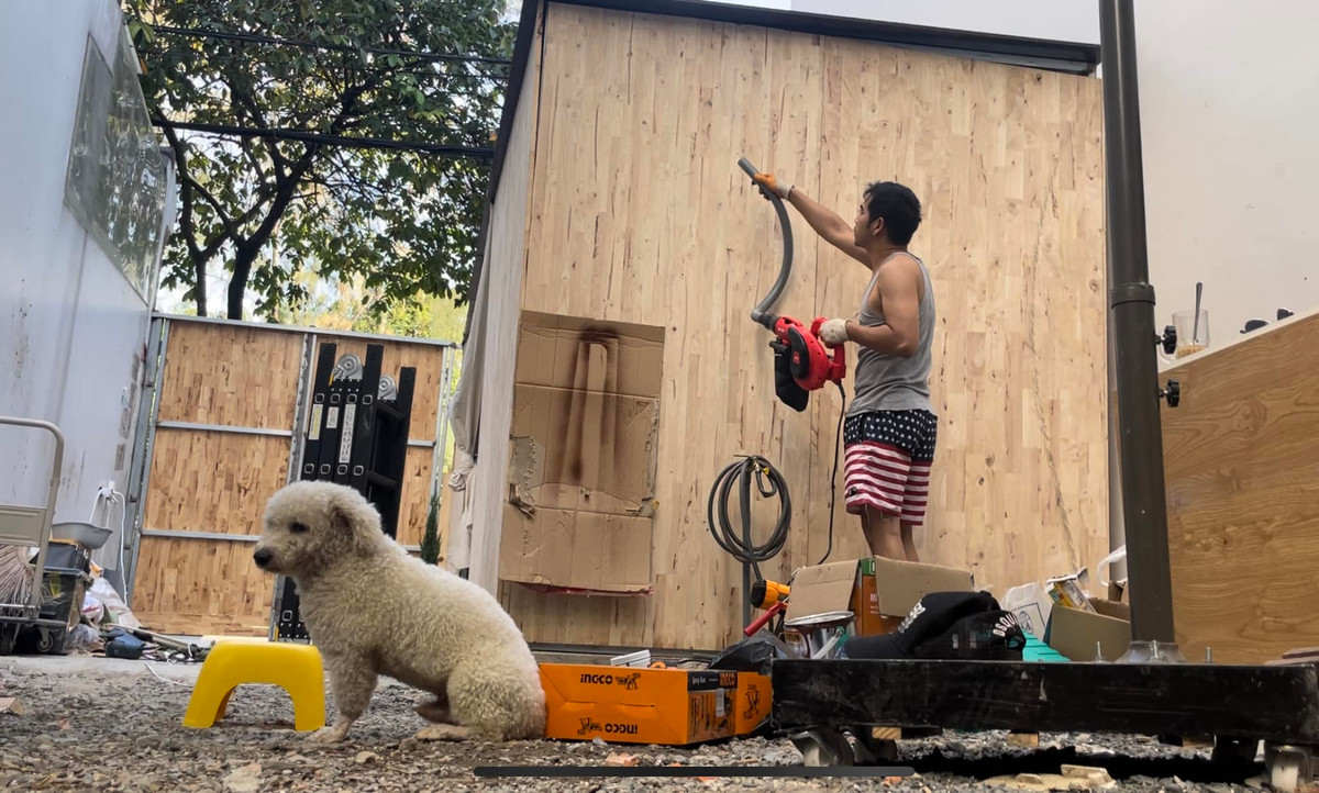 Cả hai cũng đã quen với cuộc sống độc thân. Nam diễn viên tự tay làm các việc từ chăm sóc cây cối đến sửa sang nhà cửa.