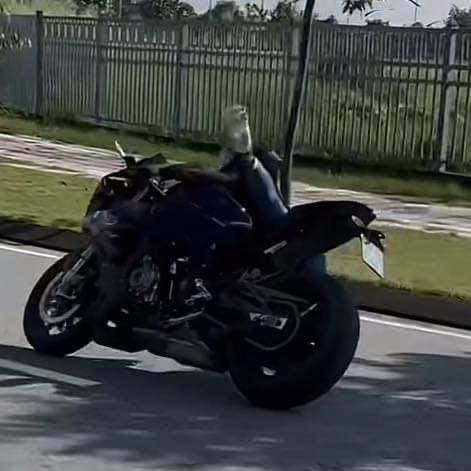 Sự việc khiến Ngọc Trinh gặp tai nạn ngã sấp mặt.