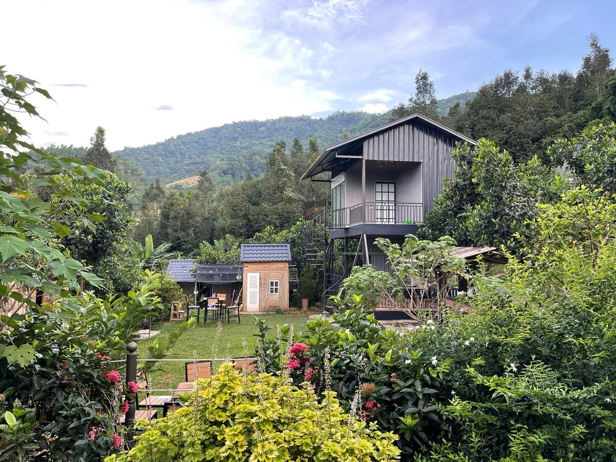 Một góc trang trại mang lại cảm giác yên bình cho nam nghệ sĩ. Anh bộc bạch trên trang cá nhân: "Nơi chỉ có sự hồn nhiên trong trẻo, nơi hàng nghìn mắt lá nhả oxy cho bạn thở, nơi có một anh già hát những bài thật cũ để ru bạn vào niềm lạc quan như thủa bé thơ...".