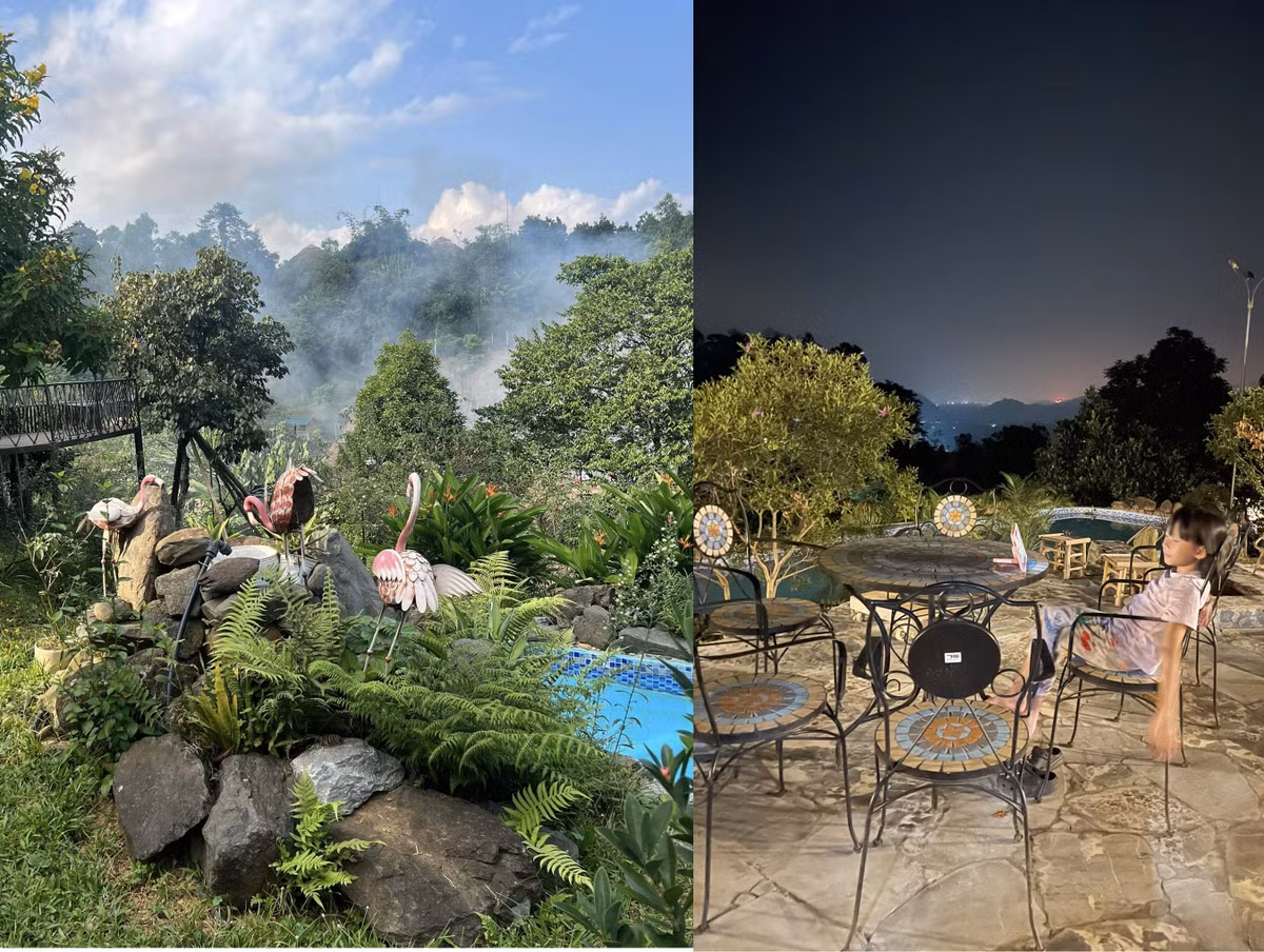 Các con của nam nghệ sĩ vẫn thường xuyên lên trang trại và giúp bố trong việc chăm sóc vườn tược.