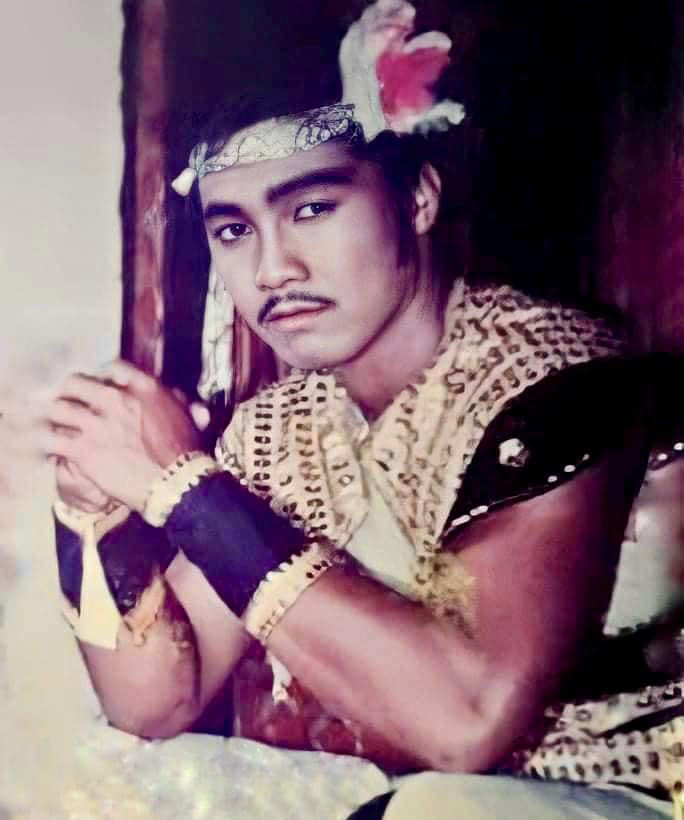 Anh được mệnh danh là "ông vua phòng vé" và là nam diễn viên có cát-sê cao nhất Việt Nam thời ấy. Theo chia sẻ của Lý Hùng trong chương trình "Hạnh phúc ở đâu", có thời điểm một hãng phim mời anh đóng phim với mức cát-sê tương đương 60 cây vàng, khoảng 2 tỷ đồng.