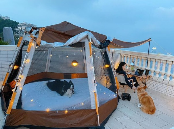 Nữ diễn viên dành thời gian vui đùa bên thú cưng. Rảnh rỗi, vợ chồng Lâm Hạ Vy đi du lịch hâm nóng tình cảm.