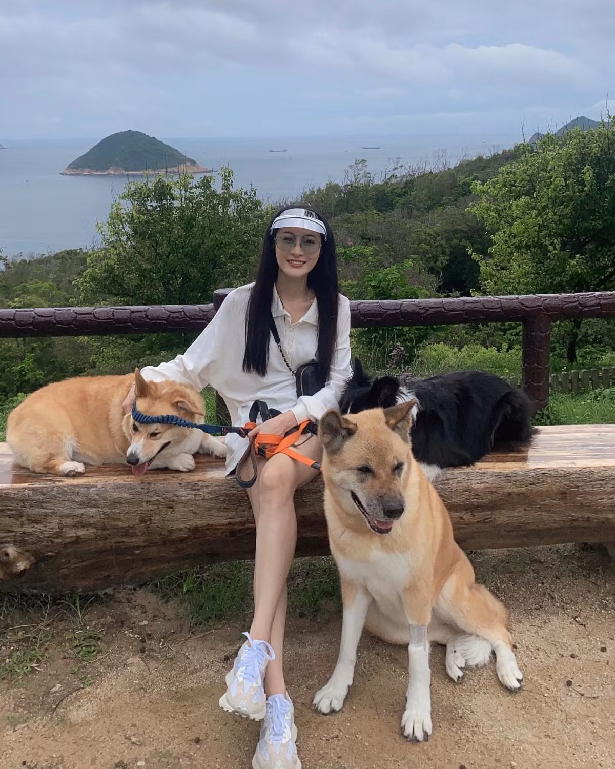 Ở tuổi 36, nữ diễn viên tận hưởng cuộc sống giàu sang và hôn nhân hạnh phúc. Cũng theo SCMP, Lâm Hạ Vy sở hữu nhiều bất động sản cùng khối tài sản khổng lồ. Theo HK01, diễn viên sinh năm 1987 sở hữu bộ sưu tập túi xách hàng hiệu, xe hơi thể thao và có du thuyền riêng...