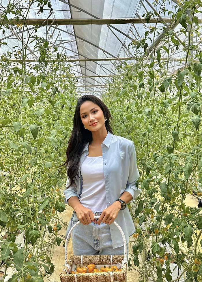 Sau những cuộc thi nhan sắc, cô gái Ê Đê ngày càng trở nên nổi tiếng và đắt show thời trang. H'Hen Niê được mọi người yêu quý không phải chỉ vì nhan sắc, danh hiệu mà còn bởi cô là một người rất giản dị, khiêm tốn.