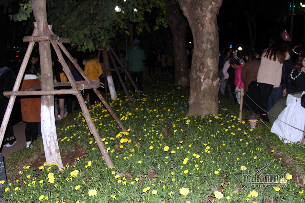 Vườn hoa hồ Gươm lúc 22h khi chưa bị "san phẳng" Có ít nhất 3 ô trồng hoa (mỗi ô từ 7 - 10 mét vuông) bên hồ Gươm, phía trước khu vực tượng đài Lý Thái Tổ chịu chung số phận. Từ tối, mỗi vườn hoa đều được công ty công viên cây xanh cử 3-5 người đứng bảo vệ nhưng không thể cản được cả nghìn người chen lấn, xô đẩy nhau để tìm đường đi, đứng xem chương trình nghệ thuật. Đêm qua, khu vực vườn hoa Lý Thái Tổ diễn ra chương trình nghệ thuật, đếm ngược mừng năm mới, hàng nghìn người đã tập trung từ 19h. Toàn bộ số hoa này mới được trồng khoảng 2 tuần trong hạng mục chỉnh trang đường phố, đô thị chào đón năm mới của thủ đô.