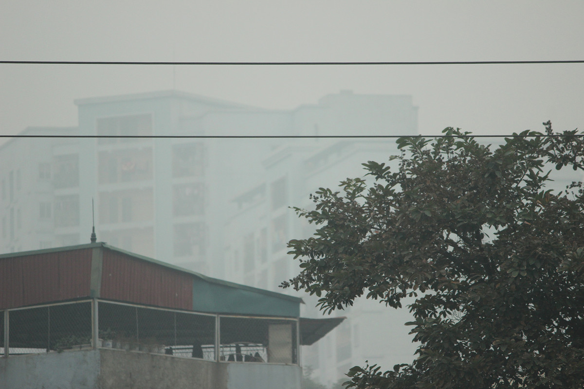 Theo Trung tâm khí tượng thủy văn trung ương, ngày 25/1, thời tiết ở Hà Nội sẽ có nhiều mây, ngày có mưa vài nơi, sáng sớm có sương mù; đêm có mưa, mưa nhỏ rải rác. Gió nhẹ, đêm gió đông bắc cấp 2-3. Trời rét. Độ ẩm từ 70-98%. Nhiệt độ thấp nhất từ 15 - 17 độ C. Nhiệt độ cao nhất từ 19 - 21 độ C.